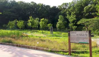 수리산야생초화원 이미지