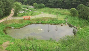 맹꽁이습지원 이미지