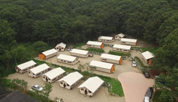 느티나무야영장 이미지