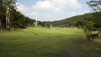 초록마당 이미지