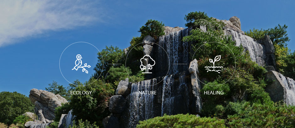 생태공원 이미지 - ecology, nature, healing